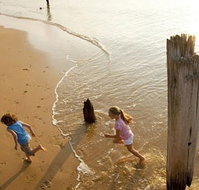 Phillip Island - Queensland Tourism