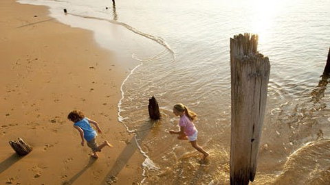 Phillip Island - Queensland Tourism 0