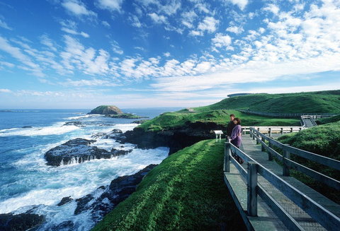 Phillip Island - Queensland Tourism 1