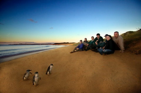 Phillip Island - Queensland Tourism 2