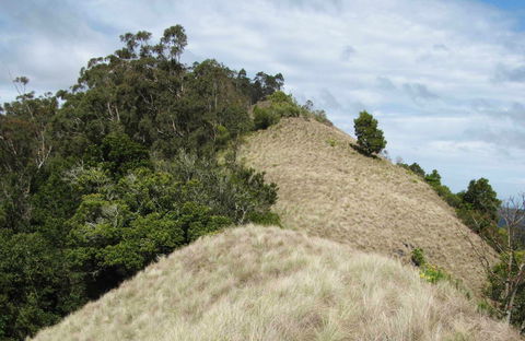 Pieries Peak Walking Track - QLD Tourism 0