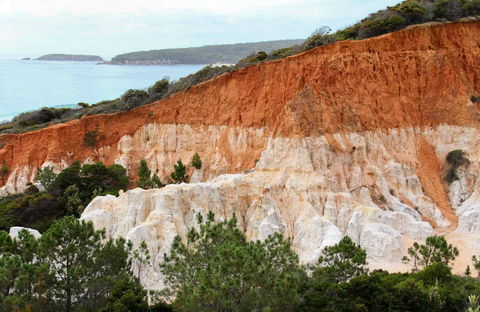 Pinnacles Loop Walking Track - QLD Tourism 0