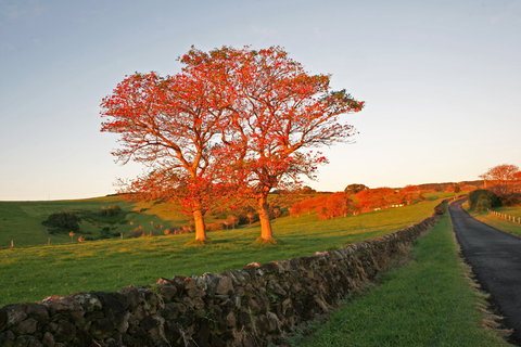 Saddleback Mountain Lookout - QLD Tourism 2