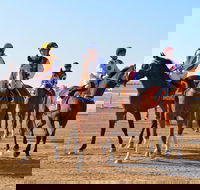 Simpson Desert Racing Carnival Trail - QLD Tourism