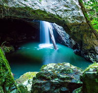 Springbrook - QLD Tourism