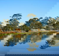 The Gums - QLD Tourism