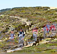 The Sole Walk at Hillocks Drive - Queensland Tourism