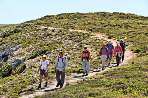 The Sole Walk At Hillocks Drive - QLD Tourism 0