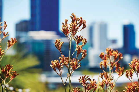 A Day In Perth - QLD Tourism 1