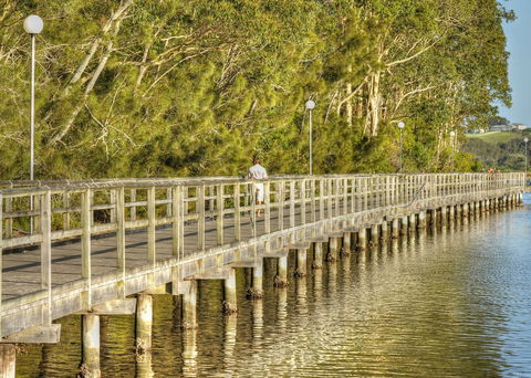 Apex Park Picnic Area Narooma - Queensland Tourism 1