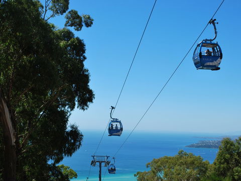 Arthurs Seat Eagle - QLD Tourism 0