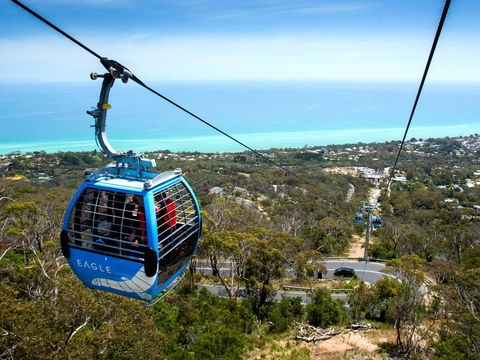 Arthurs Seat Eagle - QLD Tourism 1