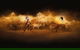 Australian Outback Spectacular's Heartland - thumb 2