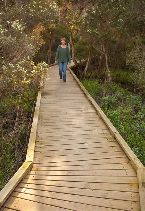 Balcombe Creek Estuary Boardwalk - Queensland Tourism 0