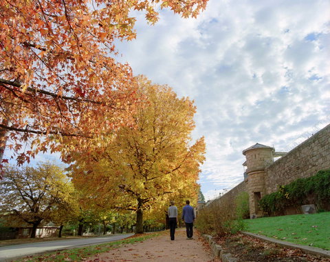 Beechworth - QLD Tourism 1