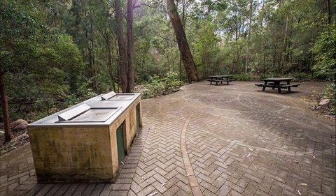 Biamanga Cultural Area (Mumbulla Creek Falls And Picnic Area) - Queensland Tourism 2