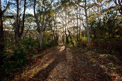 Booderee National Park: Munyunga Waraga Dhugan Walking Trail - Queensland Tourism 0