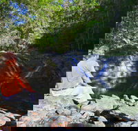 Booloumba Falls Walk Conondale National Park - QLD Tourism