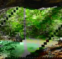 Buderim - Queensland Tourism