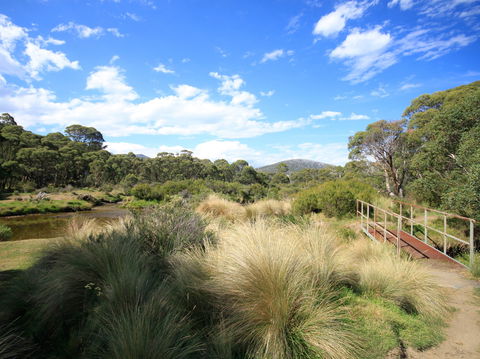 Bullocks Walking Track - Queensland Tourism 0