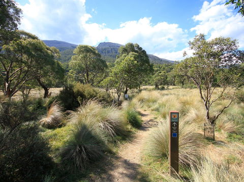 Bullocks Walking Track - Queensland Tourism 2