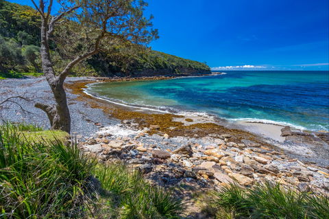 Burns Bay - QLD Tourism 0