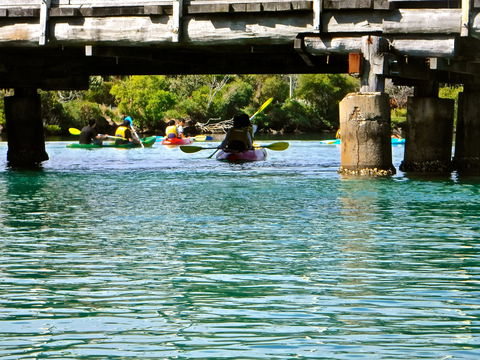 Byron Bay River Nature Kayak Tour - Queensland Tourism 1
