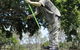 Cane Cutter Memorial - thumb 0