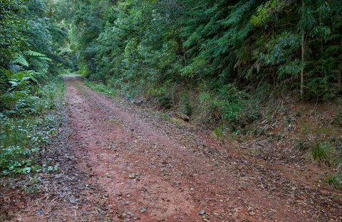 Cascade Mountain Bike Trail - QLD Tourism 0