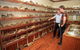 Chinchilla Historical Museum - thumb 1