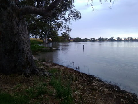 Cockatoo Lake Recreation Reserve - Queensland Tourism 1
