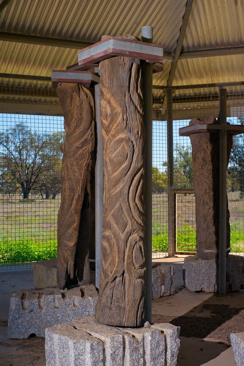 Collymongle Carved Trees - QLD Tourism 1