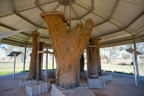 Collymongle Carved Trees - QLD Tourism 2