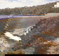 Collie - QLD Tourism