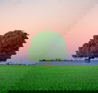 Condamine - QLD Tourism