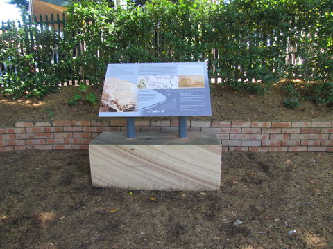 Coxs Road Interpretive Trail - QLD Tourism 0