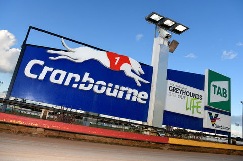 Cranbourne Greyhound Racing Club - Queensland Tourism 0