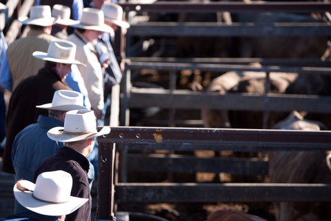 Dalby - Queensland Tourism 0