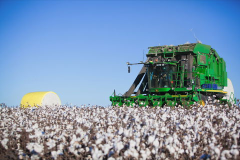 Dalby - Queensland Tourism 2