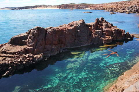 Eyre Peninsula - Queensland Tourism 0