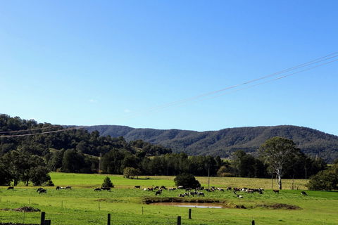Farm Visit  Dungog - Queensland Tourism 1
