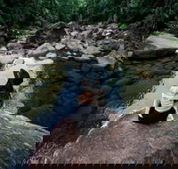 Finch Hatton Gorge - QLD Tourism