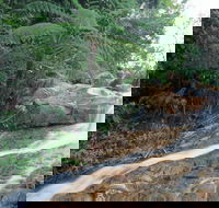 Finch Hatton - QLD Tourism