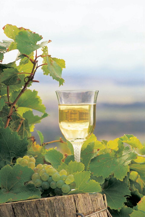 Flavours Of The Porongurup Range Trail - Queensland Tourism 0