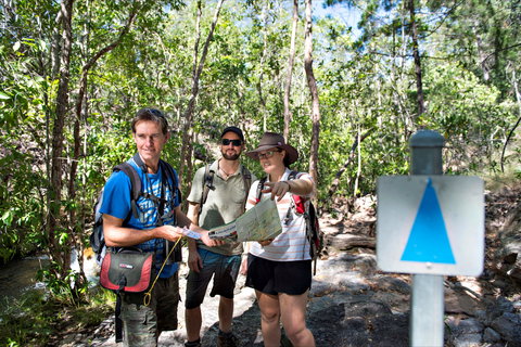 Florence Creek Walk - QLD Tourism 1