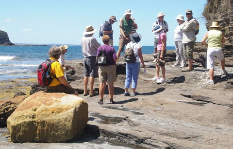 Gondwana Coast Fossil Walk - QLD Tourism 0