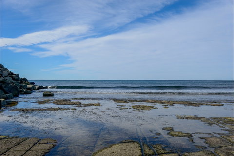 Gondwana Coast Fossil Walk - QLD Tourism 1