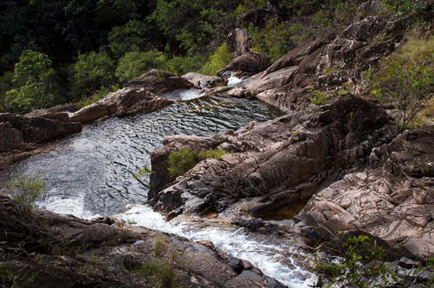 Halls Falls - QLD Tourism 0