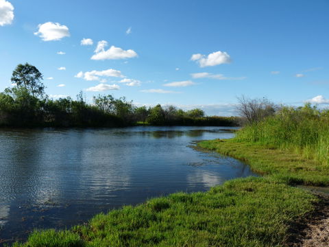 Lagoon Creek - QLD Tourism 2