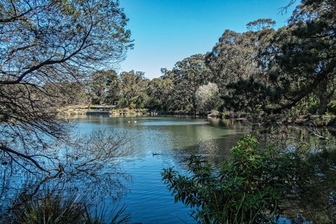 Lake Alexandra Reserve - QLD Tourism 1
